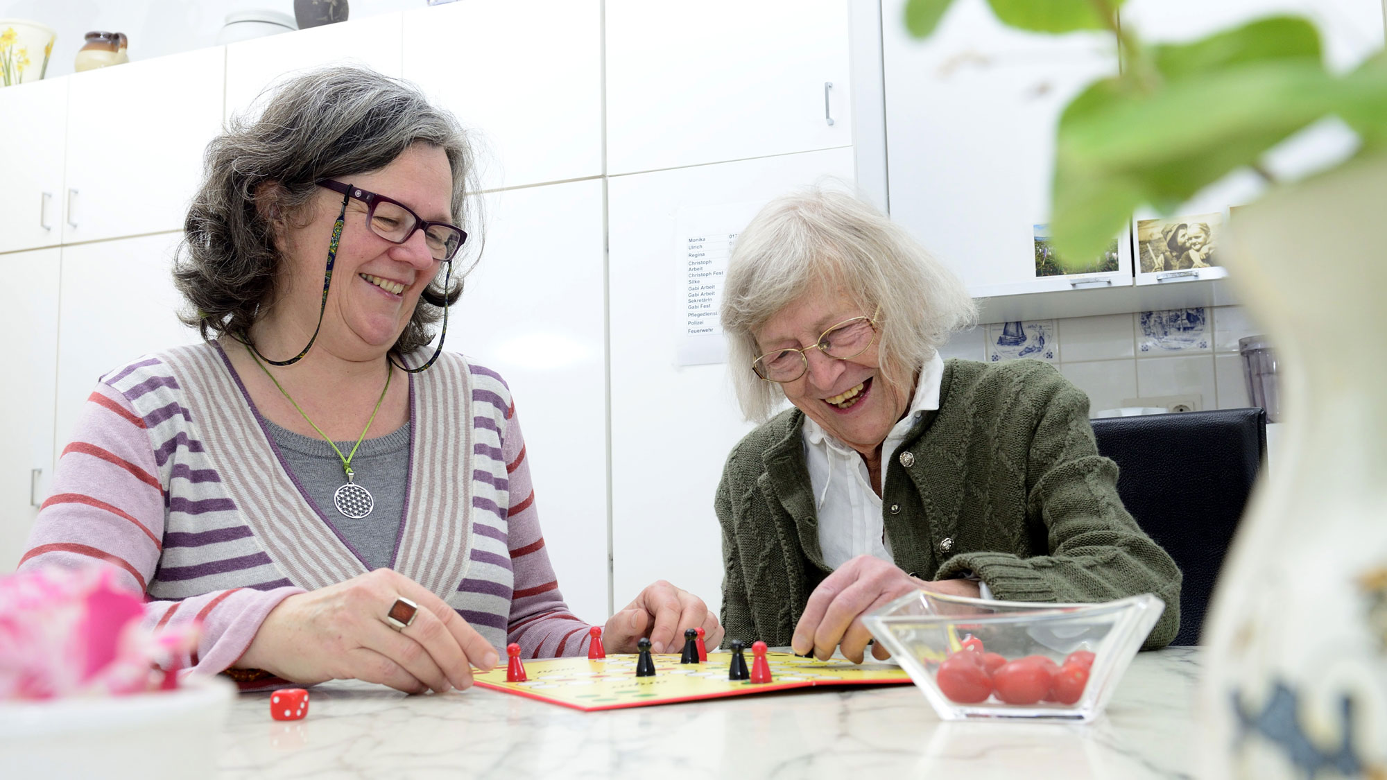 Haushaltshilfen Alltagshilfen Integrationshilfen Rechtliche Betreuung